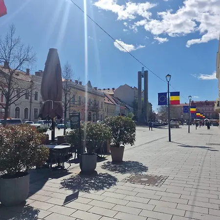 Eroilor Downtown Apartman *