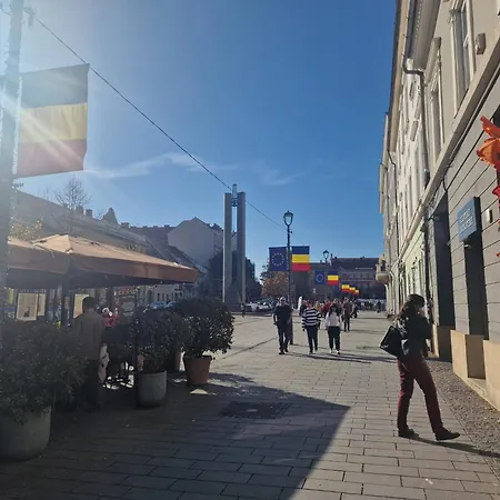 아파트 Eroilor Downtown 클루지나포카