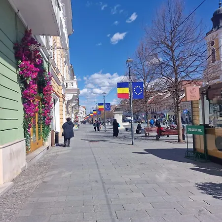 Eroilor Downtown Апартаменты