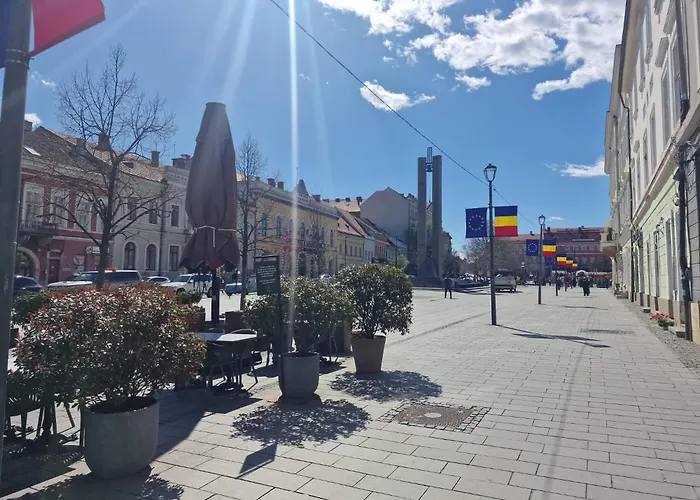 Eroilor Downtown Apartman *